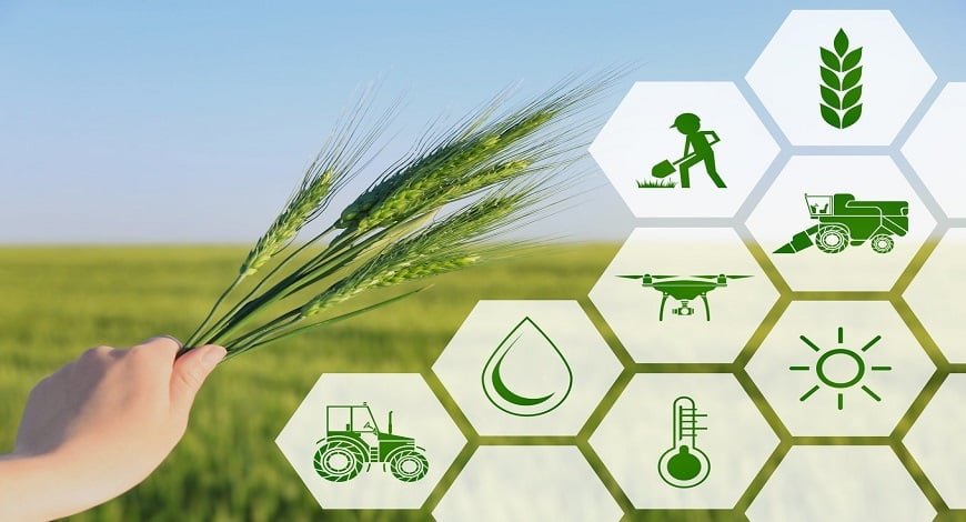 Effective strategies for managing and financing rural development programs